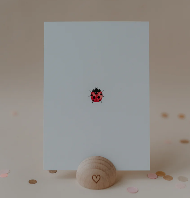 Carte postale - Coccinelle