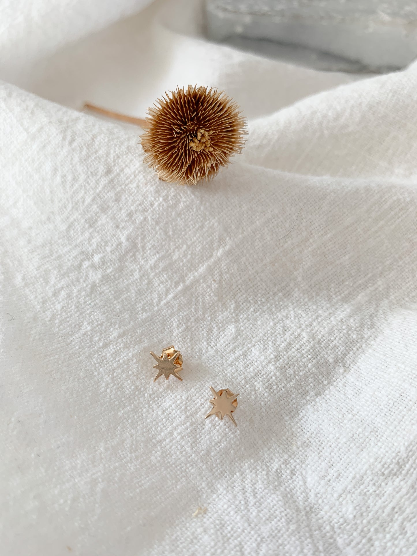 Puces LILOU - Mini Etoile