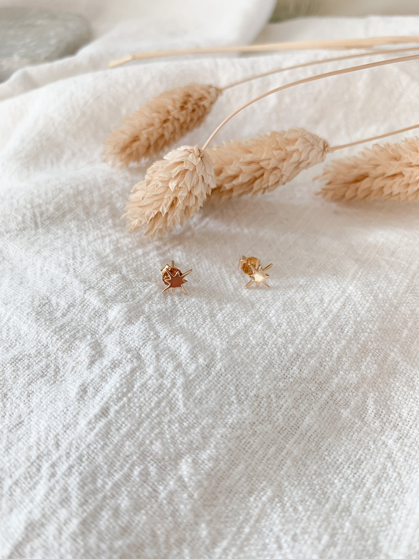 Puces LILOU - Mini Etoile