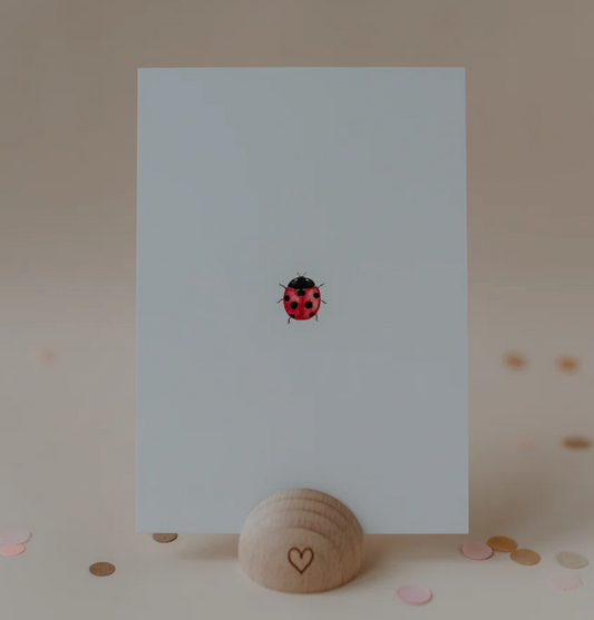 Carte postale - Coccinelle