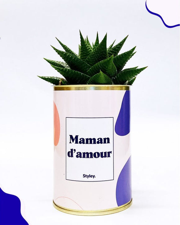 PRE COMMANDE Cactus - Maman d'Amour