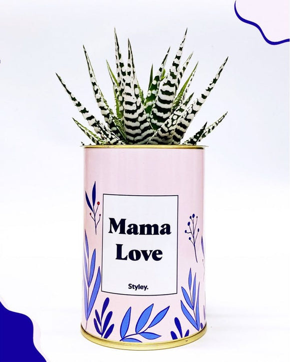 PRE COMMANDE Cactus - Mama Love