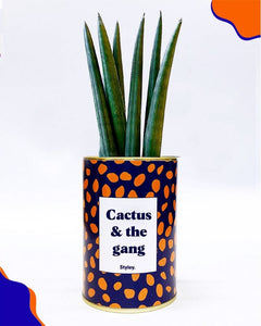 PRE COMMANDE Cactus - Cactus & the Gang