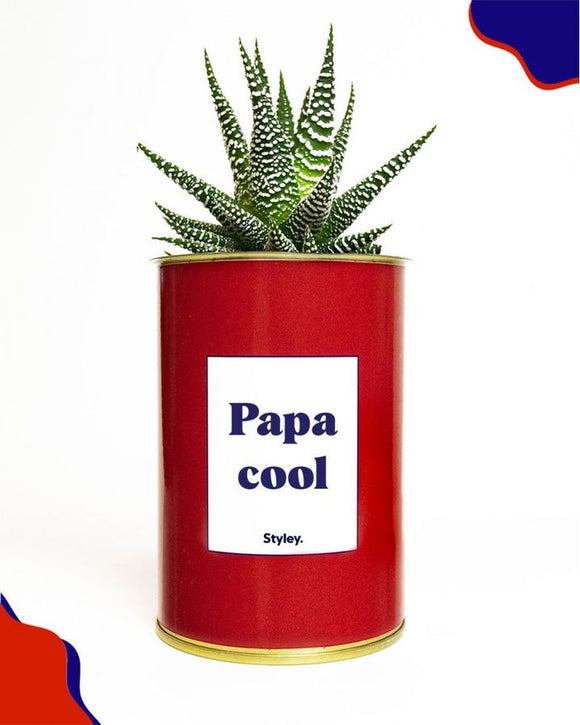 PRE COMMANDE Cactus -Papa Cool