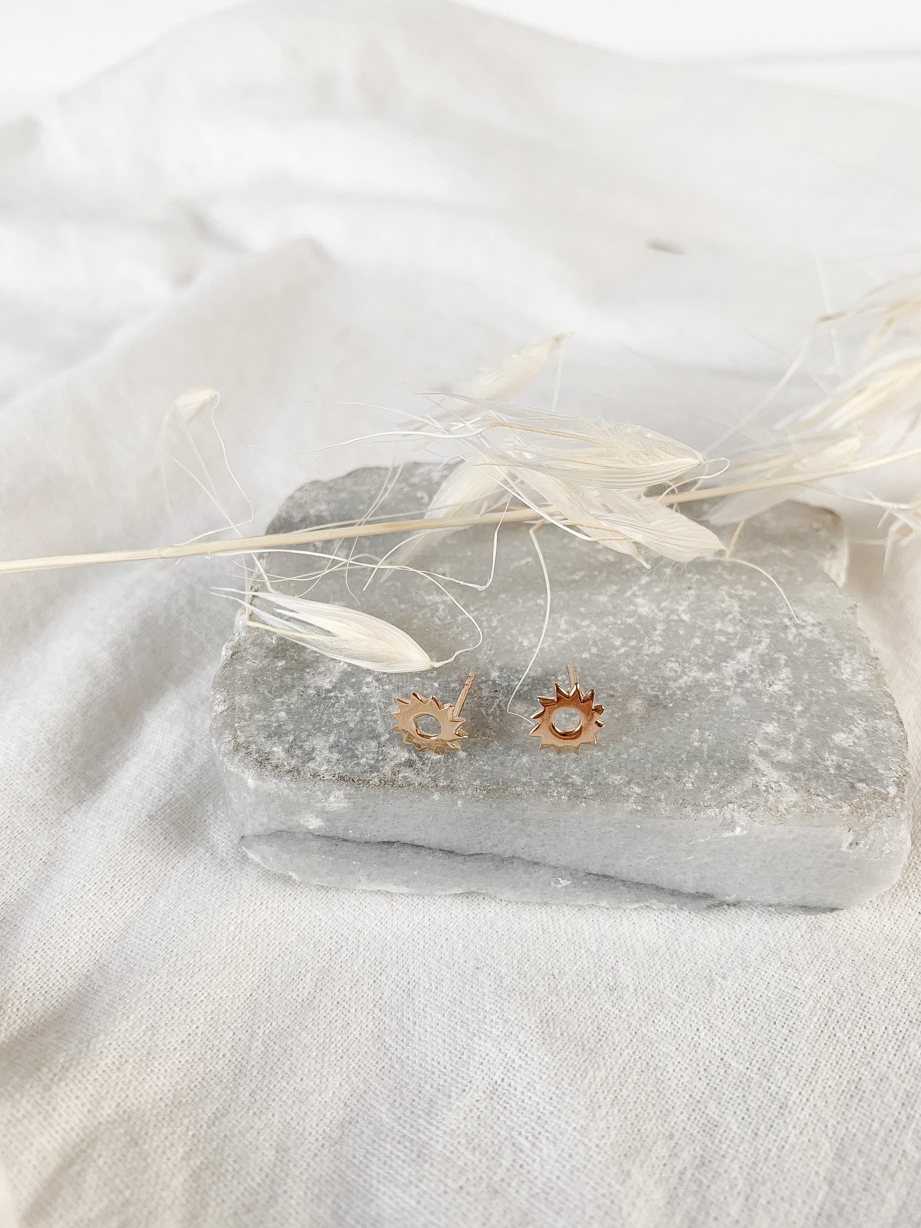 Puces EMILIE - Soleil