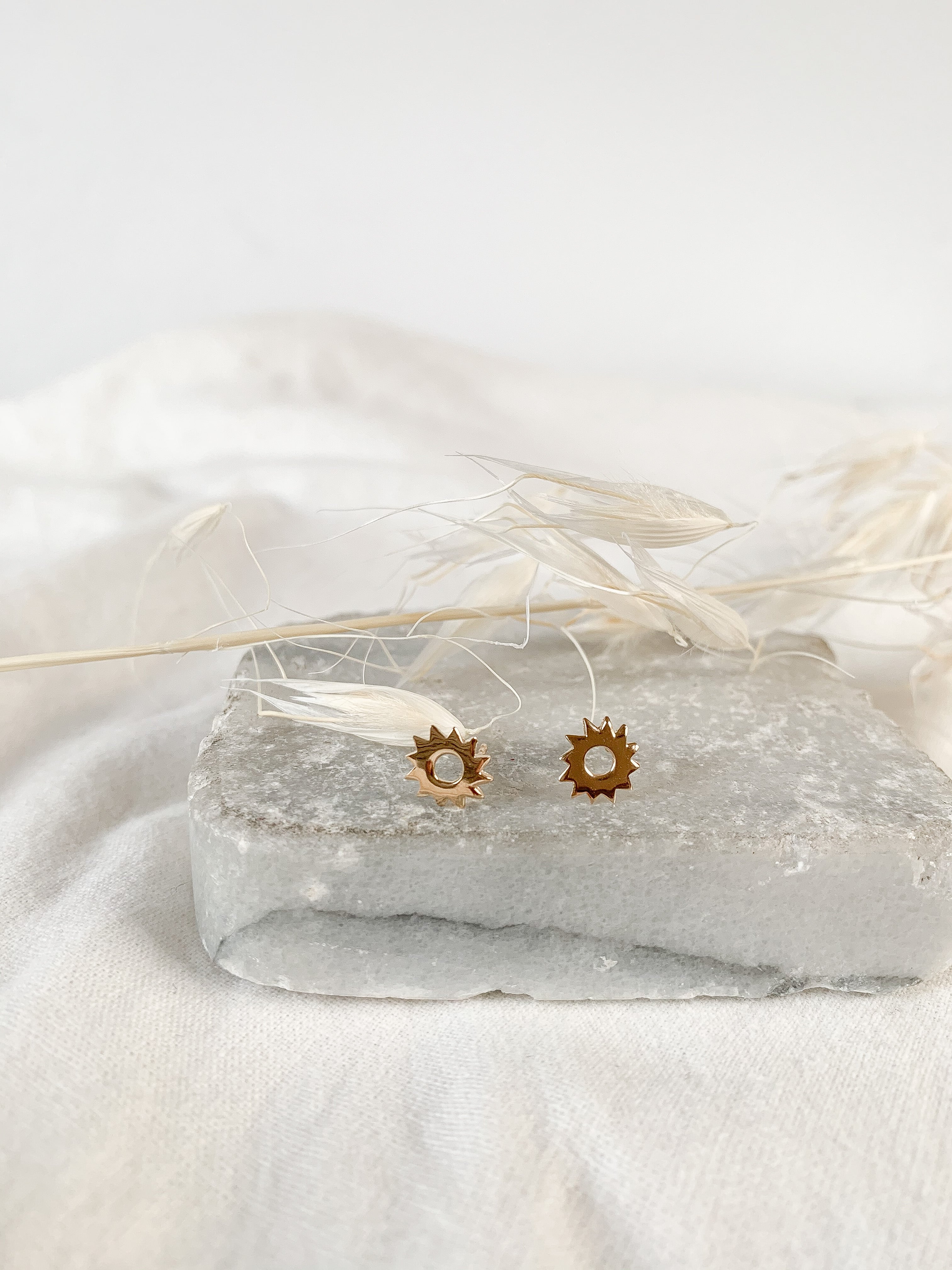 Puces EMILIE - Soleil