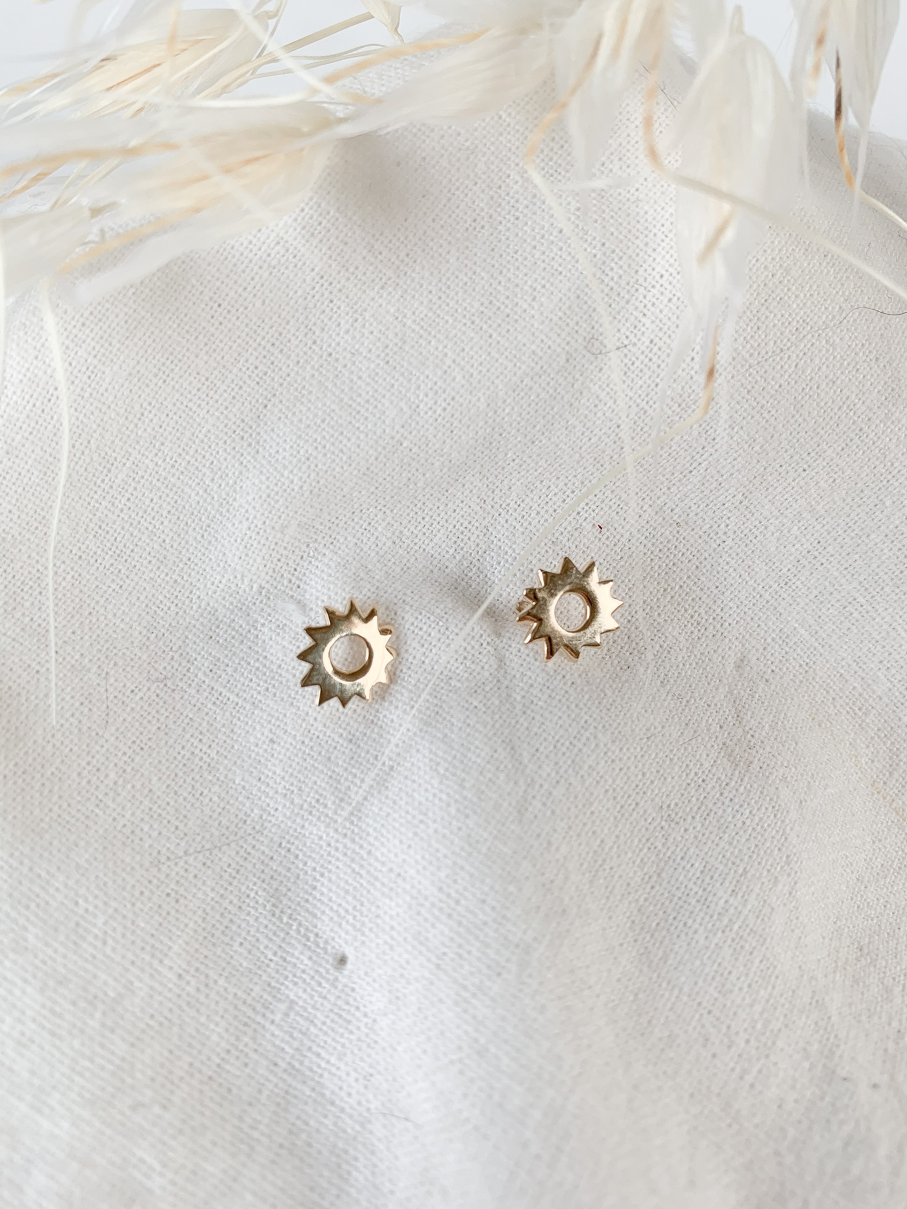 Puces EMILIE - Soleil