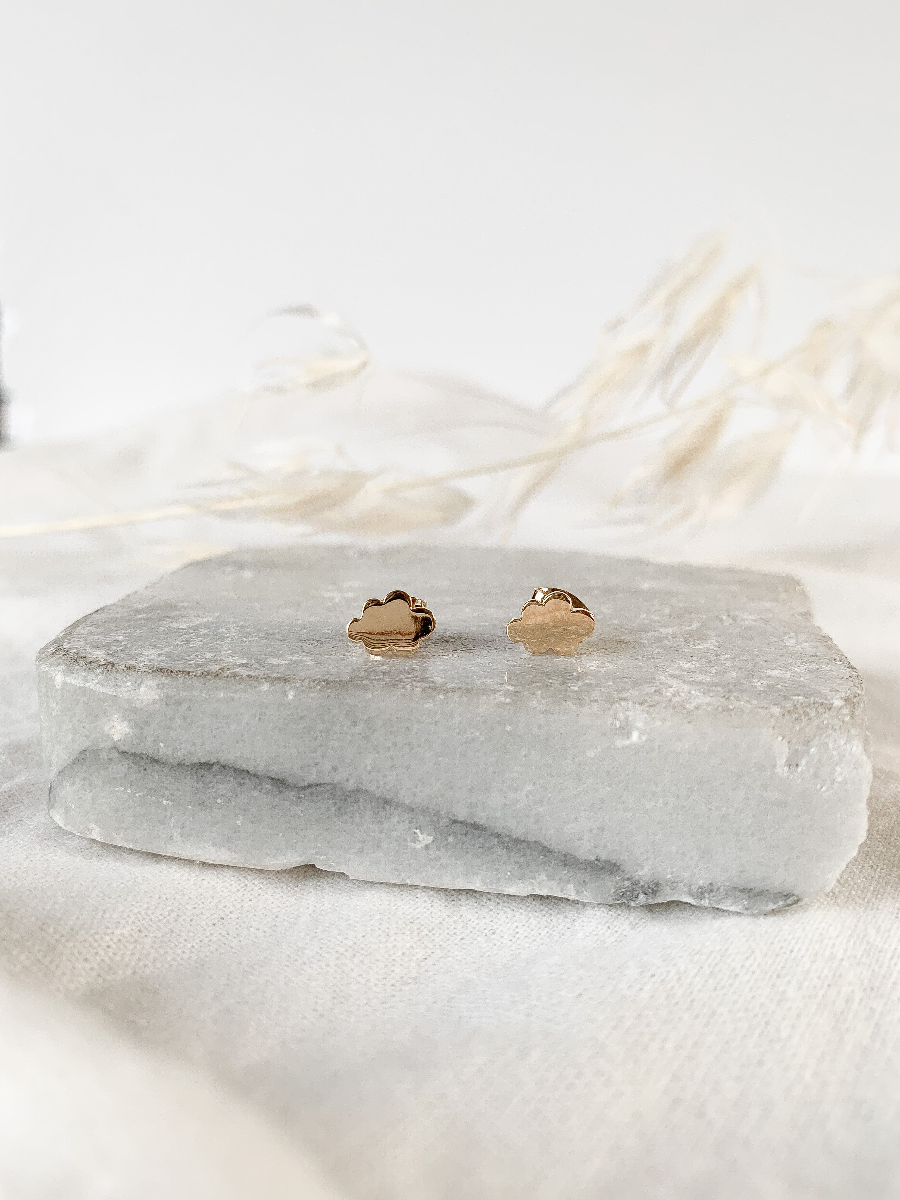 Puces EMILIE - Nuage