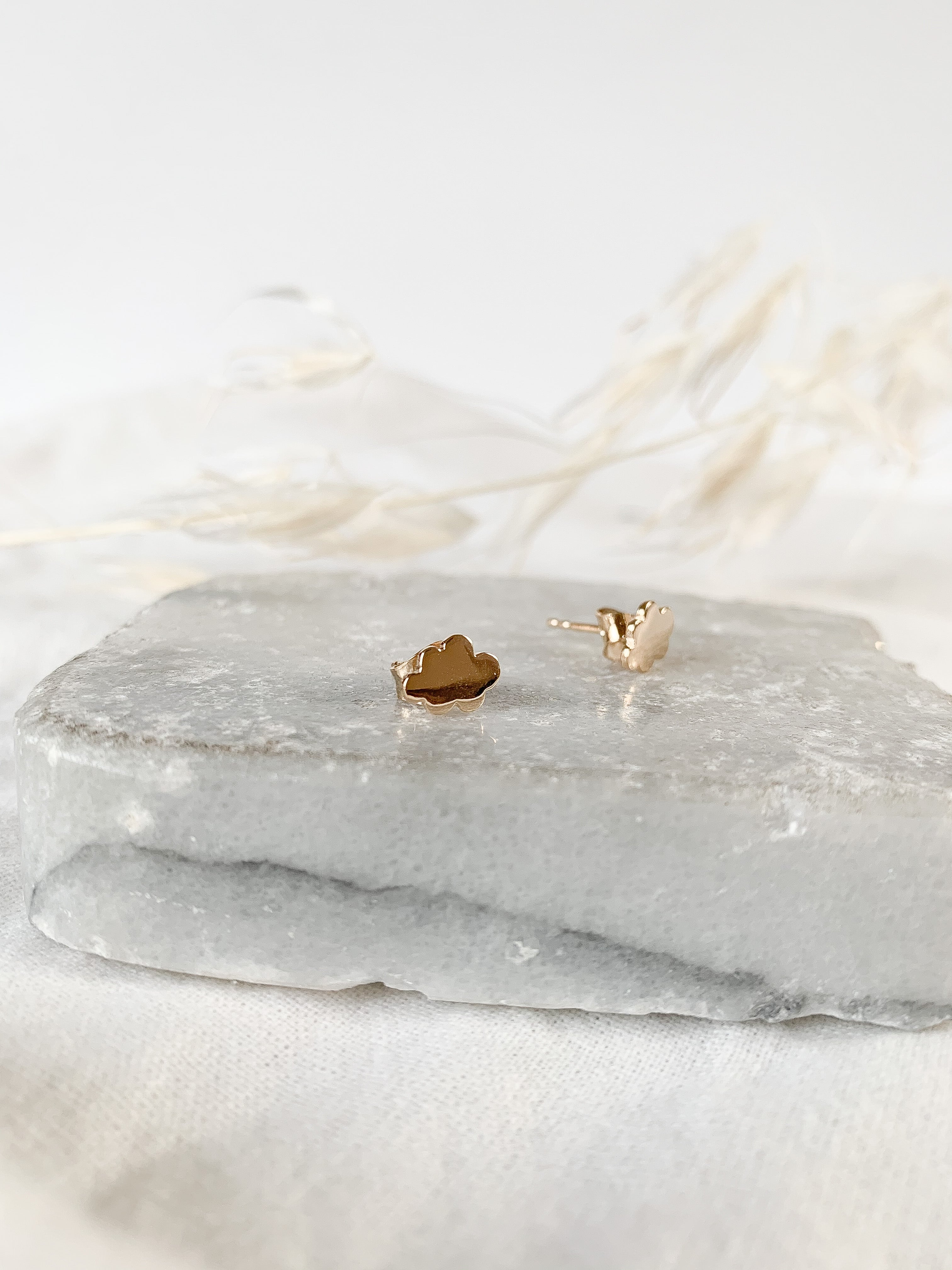 Puces EMILIE - Nuage