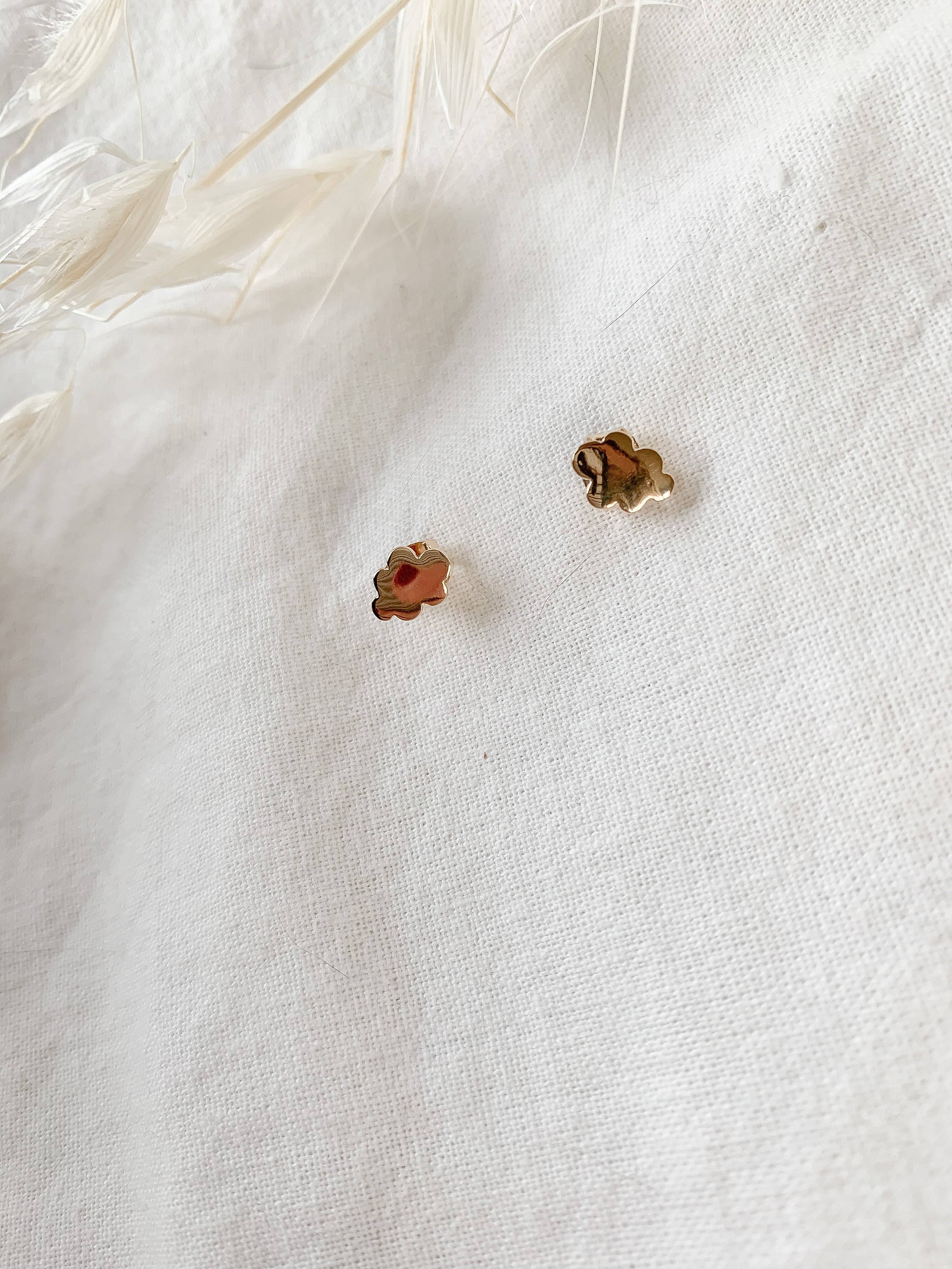 Puces EMILIE - Nuage